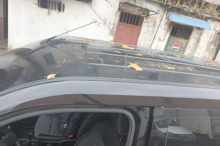 Used Wuling Hongguang PLUS 2019 1.5T Manual Standard Version 7 Seats Roof