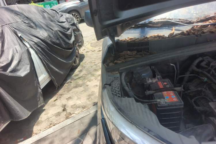 Used Wuling Hongguang PLUS 2019 1.5T Manual Comfort Version 7 Seats Engine Bay Right