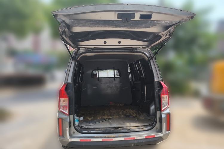Used Wuling Hongguang PLUS 2019 1.5T Manual Wealthy Version 2 Seats Trunk