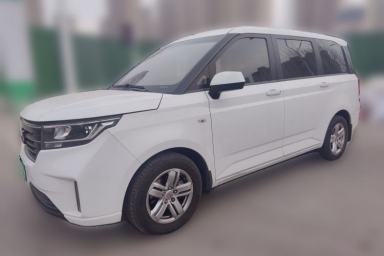 Used Wuling Hongguang PLUS 2019 1.5T Manual Luxury 7-Seater