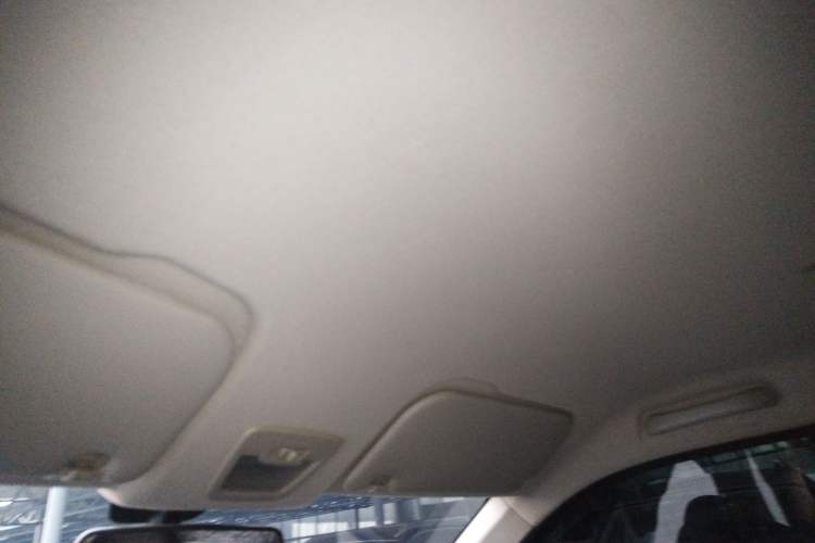 Used Wuling Hongguang PLUS 2019 1.5T Manual Wealthy Version 2 Seats Headliner