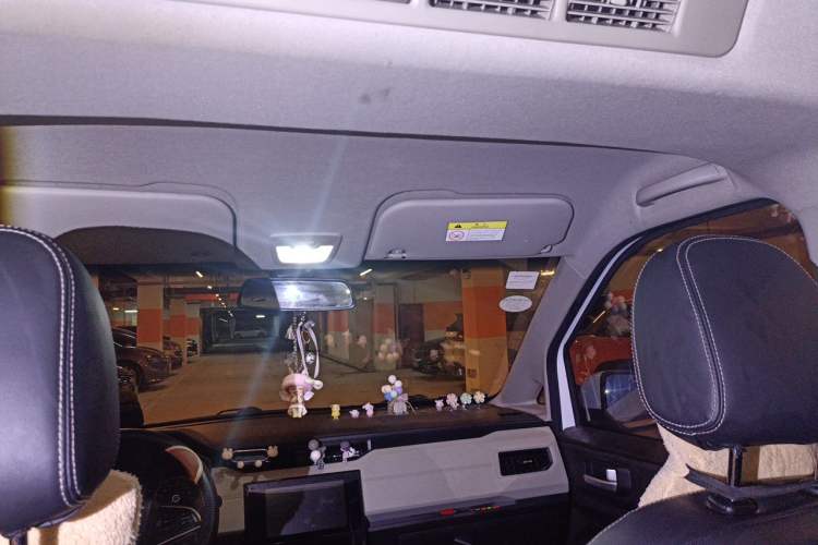 Used Wuling Hongguang PLUS 2019 1.5T Manual Luxury 7-Seater Headliner