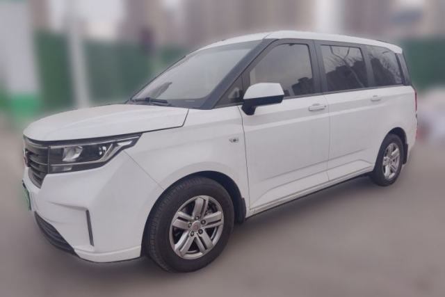 Used Wuling Hongguang PLUS 2019 1.5T Manual Luxury 7-Seater