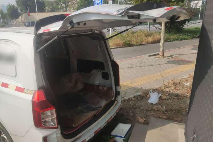 Used Wuling Hongguang PLUS 2019 1.5T Manual Wealthy Version 2 Seats Trunk