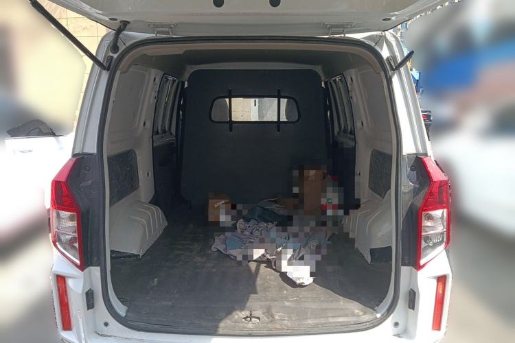 Used Wuling Hongguang PLUS 2019 1.5T Manual Wealthy Version 2 Seats Trunk