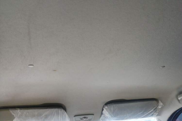 Used Wuling Hongguang PLUS 2020 1.5L Manual Standard Edition 5 Seats Headliner