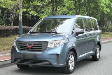 Used Wuling Hongguang PLUS 2020 1.5L Manual Standard Edition 5 Seats