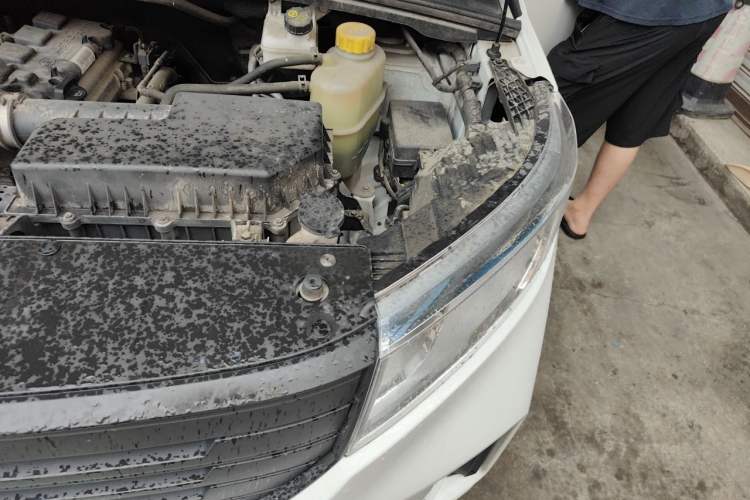 Used Wuling Hongguang PLUS 2020 1.5L Manual Standard Edition 5 Seats Engine Bay Left