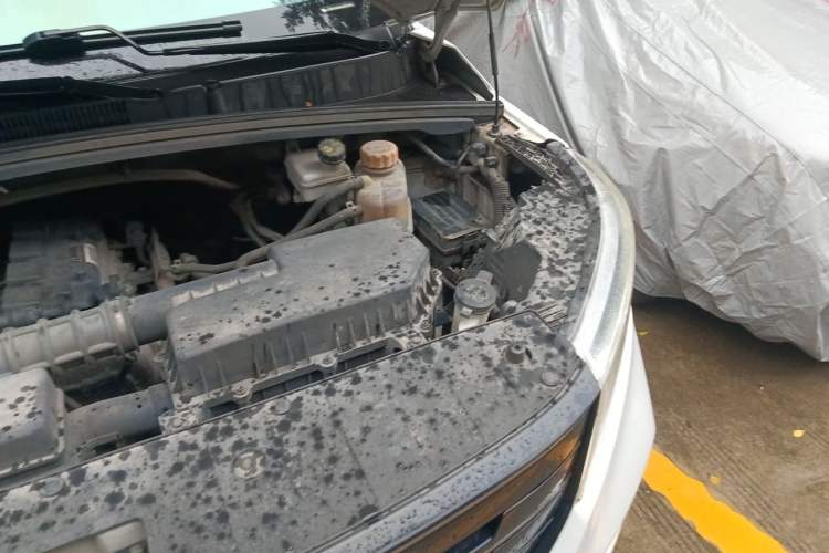 Used Wuling Hongguang PLUS 2020 1.5L Manual Comfort 7-Seater Engine Bay Left