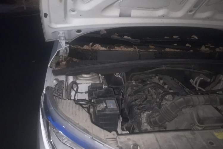 Used Wuling Hongguang PLUS 2020 1.5L Manual Standard Edition 5 Seats Engine Bay Right