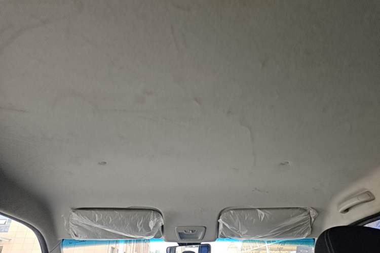 Used Wuling Hongguang PLUS 2020 1.5L Manual Standard Edition 5 Seats Headliner