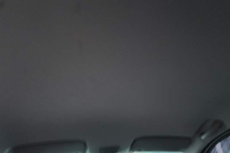 Used Wuling Hongguang S3 2018 1.5L Manual Standard Version China V Standard Headliner