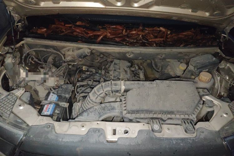 Used Wuling Hongguang V 2019 1.5L Enjoyment Version China VI LAR Engine Bay