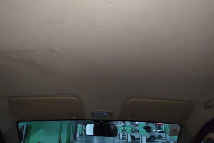 Used Wuling Hongguang V 2019 1.5L Jingqu Version China VI LAR Headliner