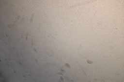 Thumbnail 19