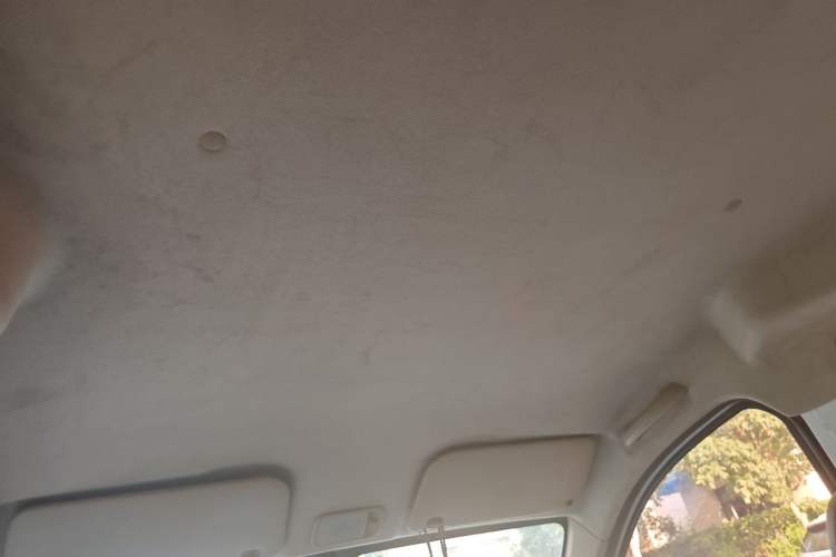 Used Wuling Hongguang V 2019 1.5L Jingqu Version China VI LAR Headliner