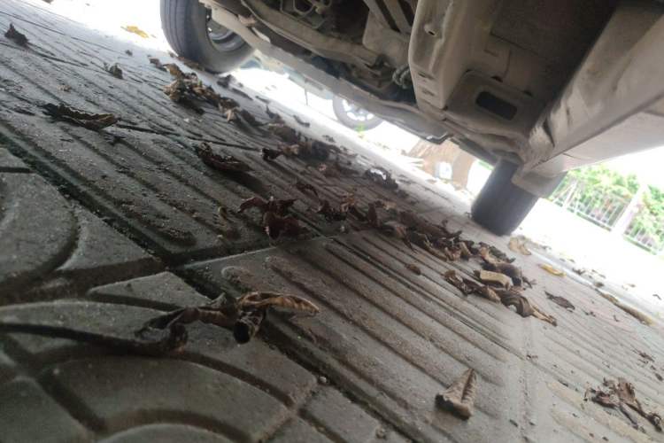 Used Wuling Hongguang V 2019 1.5L Jingqu Version China VI LAR Chassis Front Right