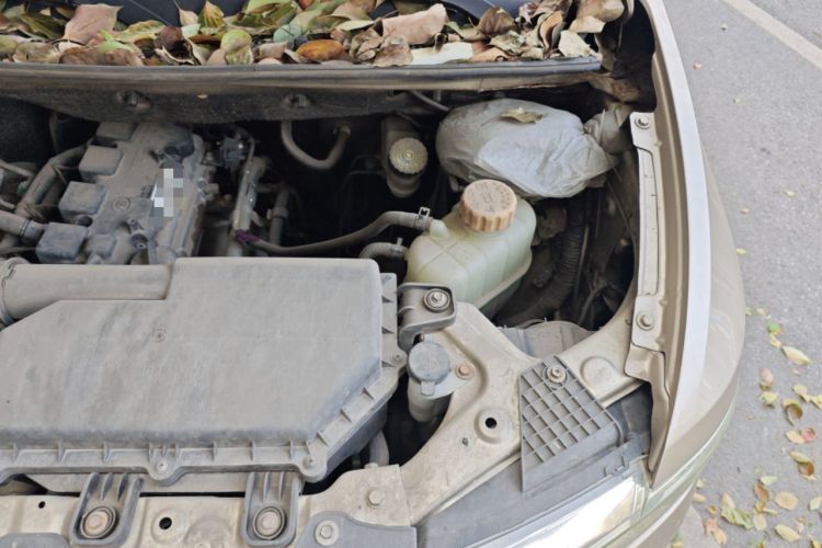 Used Wuling Hongguang V 2019 1.5L Base Version China VI LAR Engine Bay Left