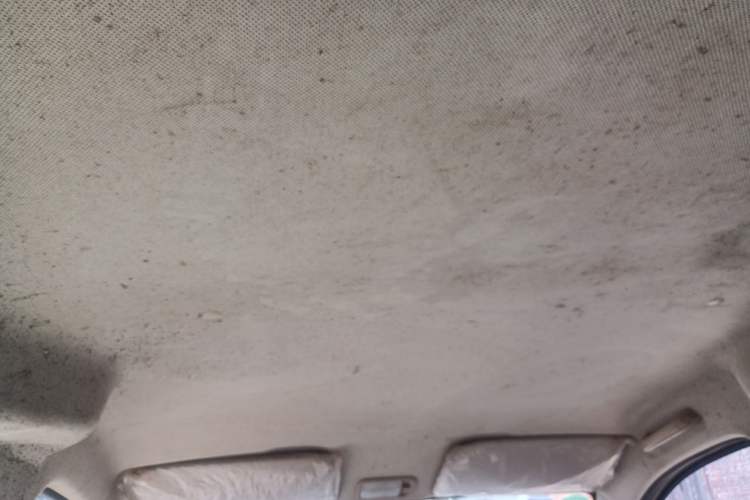 Used Wuling Hongguang V 2019 1.5L Base Version China VI LAR Headliner
