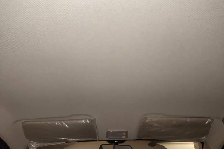 Used Wuling Hongguang V 2019 1.5L Jingqu Version China VI LAR Headliner