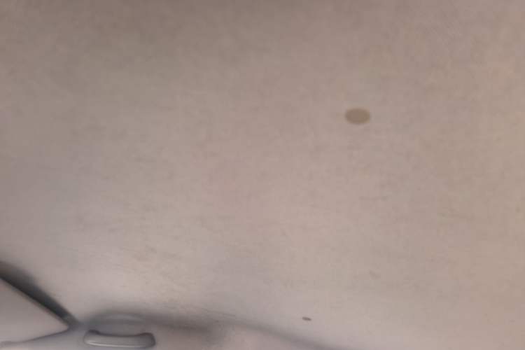 Used Wuling Hongguang V 2020 Model 1.2L Jingqu Edition China VI LSI Headliner
