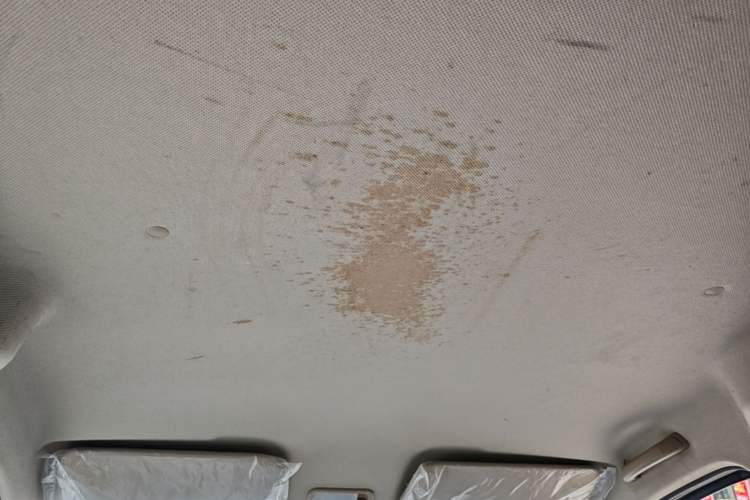 Used Wuling Hongguang V 2021 1.5L Jingqu Version LAR Headliner