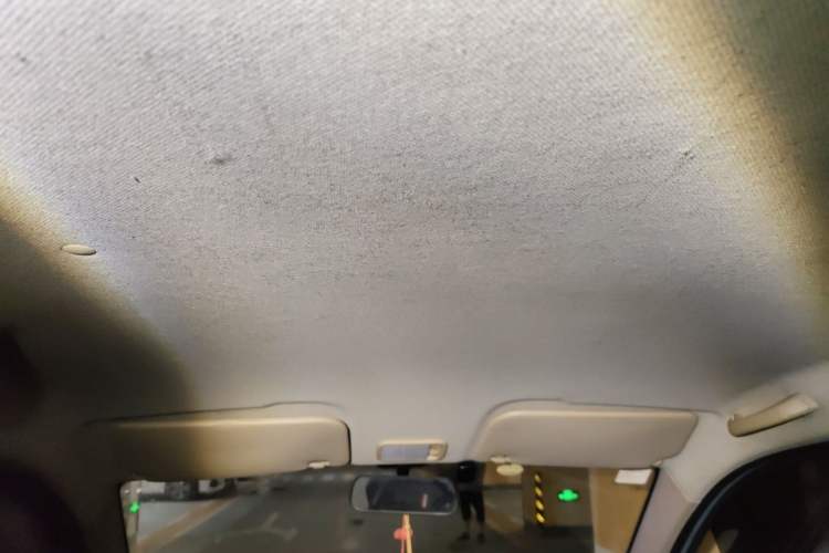Used Wuling Hongguang V 2021 1.5L Jingqu Version LAR Headliner