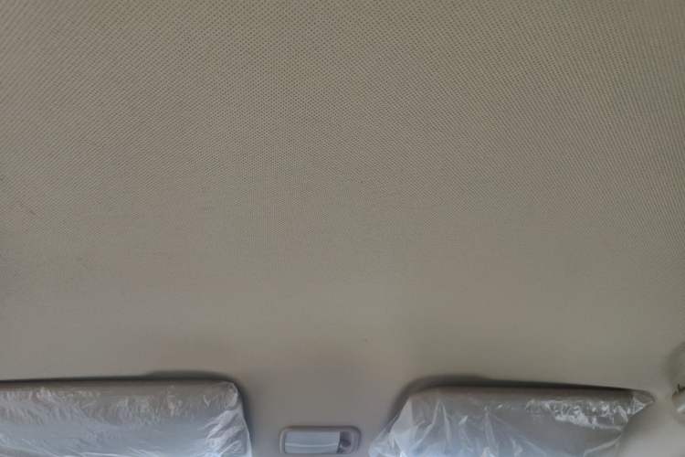 Used Wuling Hongguang V 2021 1.5L Jingqu Version LAR Headliner