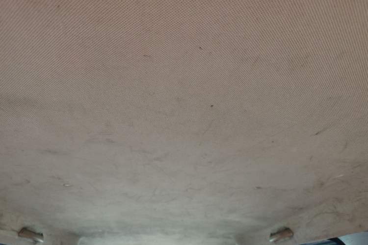Used Wuling Hongguang V 2021 1.5L Jingqu Version LAR Headliner
