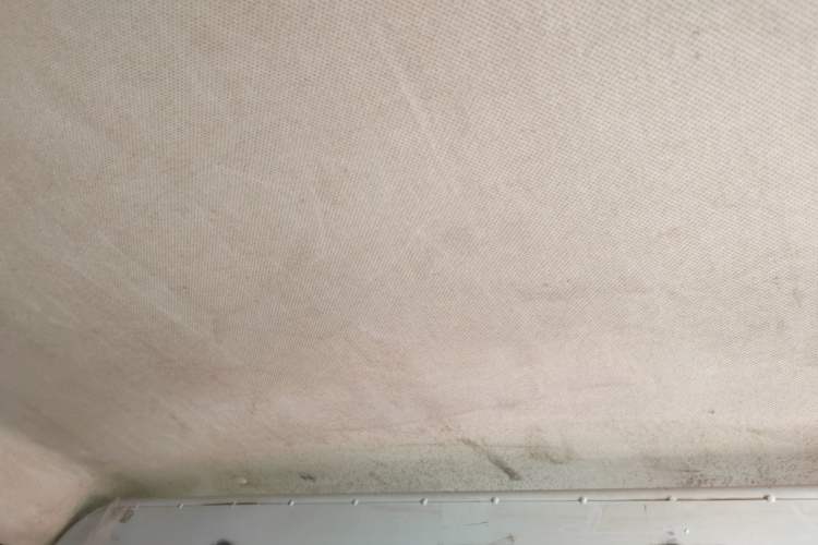 Used Wuling Hongguang V 2021 1.5L Jingqu Edition Enclosed-Window Vehicle LAR Headliner