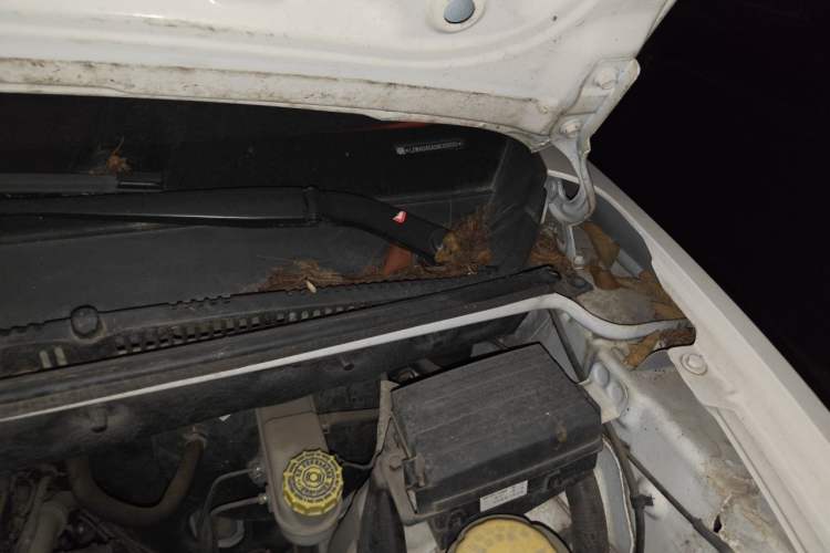 Used Wuling Hongguang V 2021 1.5L Enjoyment Edition LAR Engine Bay Left