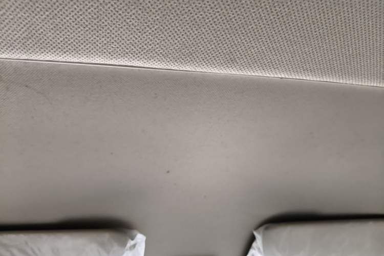 Used Wuling Hongguang V 2021 1.5L Refreshed Enjoyment Edition LAR Headliner