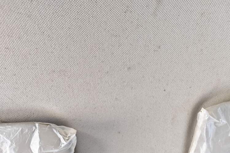 Used Wuling Hongguang V 2021 1.5L Jingqu Version LAR Headliner