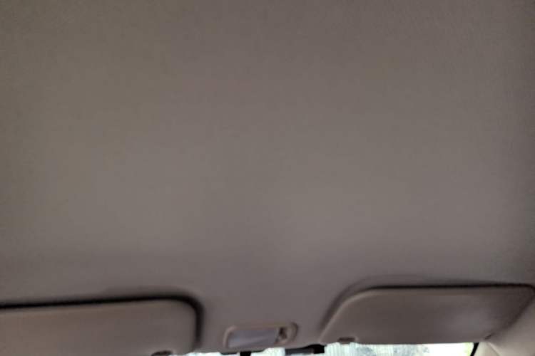 Used Wuling Hongguang V 2022 1.5L Jingqu Edition Electric-Assist LAR Headliner