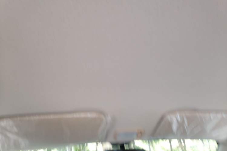 Used Wuling Hongguang V 2022 1.5L Jingqu Version Hydraulic Power Steering LAR Headliner