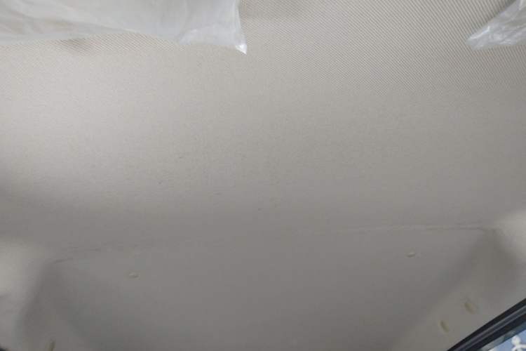 Used Wuling Hongguang V 2022 1.5L Jingqu Edition Electric-Assist LAR Headliner