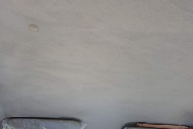 Used Wuling Hongguang V 2022 1.5L Jingqu Version Hydraulic Power Steering LAR Headliner