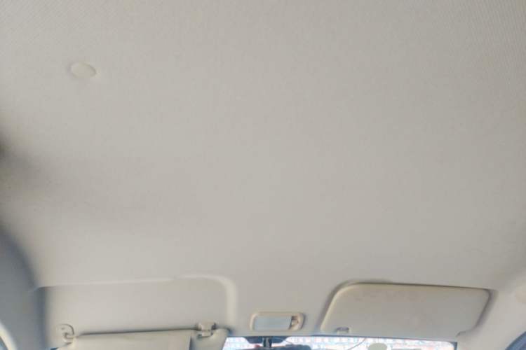 Used Wuling Hongguang V 2022 1.5L Enjoy Edition Electric-Powered LAR Headliner