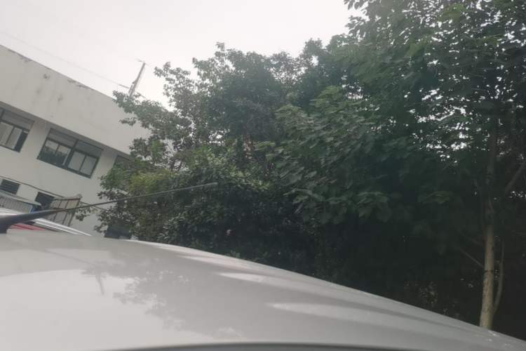 Used Wuling Hongguang V 2022 1.5L Enjoy Edition Electric-Powered LAR Roof