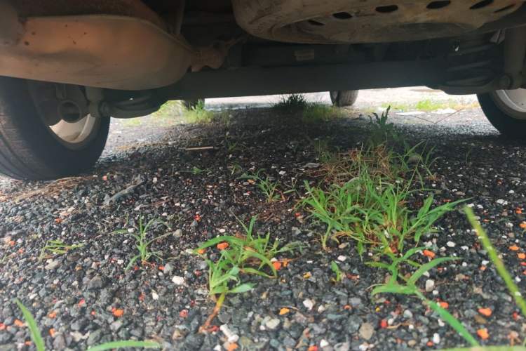 Used Wuling Jiachen 2022 1.5L Manual Light Comfort Edition Chassis Rear