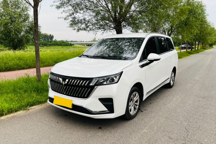 Used Wuling Jiachen 2022 1.5L Manual Comfort Edition Exterior 5