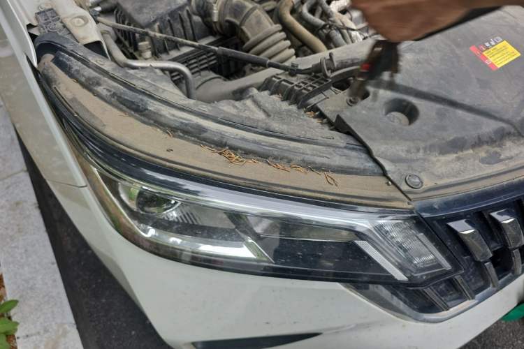 Used Wuling Jiachen 2022 1.5T Manual Comfort & Dynamic Version Right Front Headlight