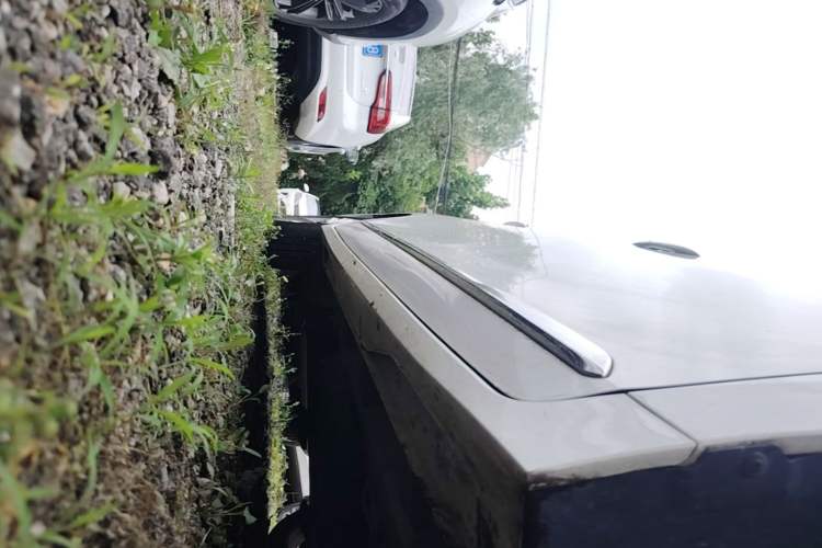 Used Wuling Jiachen 2022 1.5T CVT Smart Luxury Version Right Side Sill