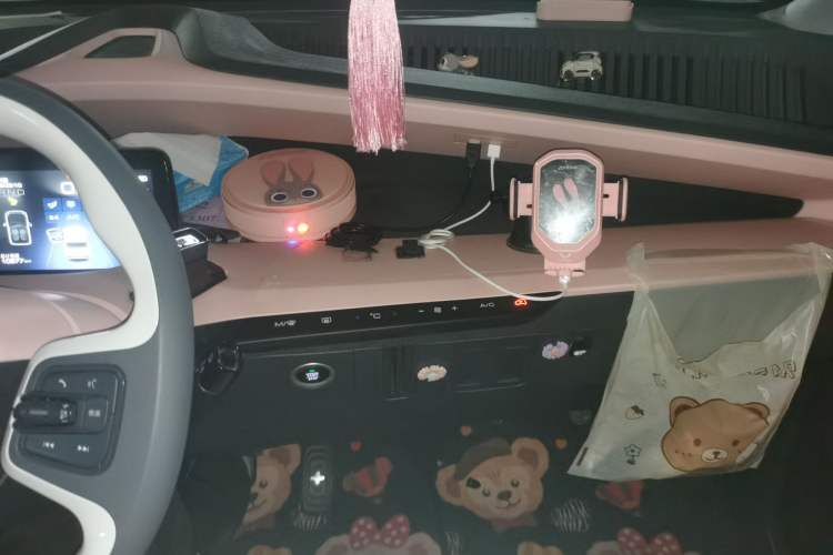 Used Wuling NAMMIEV 2021 Disney Zootopia – Judy Edition Audio And AC Panel