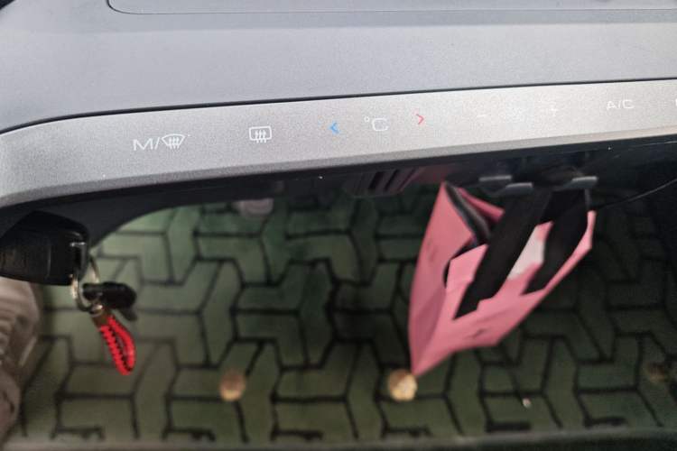 Used Wuling NAMMIEV 2021 Playful Model – High-Power Version Audio And AC Panel