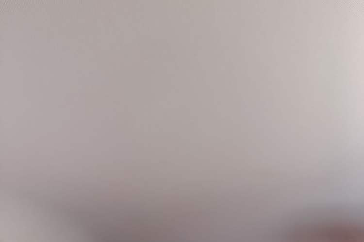 Used Wuling NAMMIEV 2021 Disney Zootopia Nick Edition Headliner