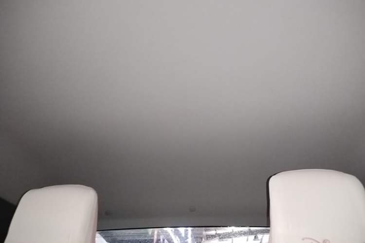 Used Wuling NAMMIEV 2021 Disney Zootopia – Judy Edition Headliner