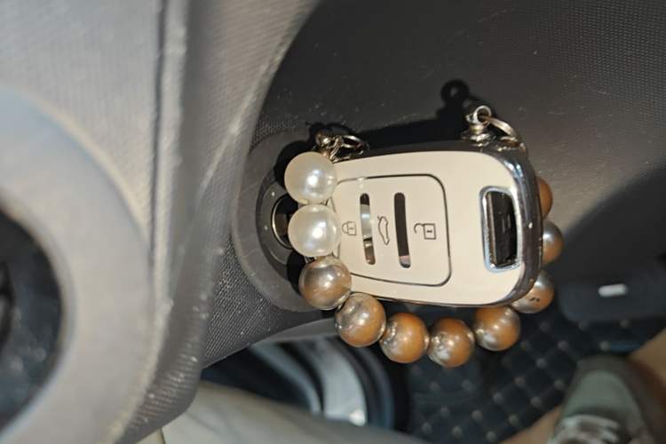 Used Wuling NAMMIEV 2021 - Play Edition Interior 1