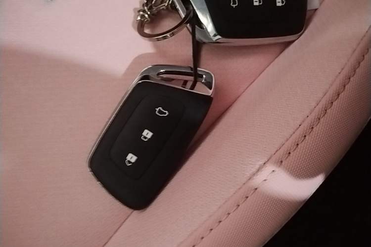 Used Wuling NAMMIEV 2021 Disney Zootopia – Judy Edition Vehicle Key