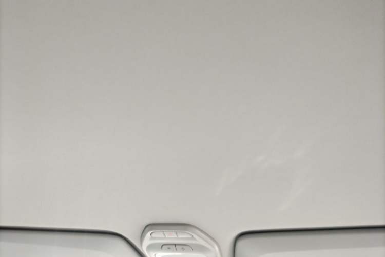 Used Wuling NAMMIEV 2022 Enjoyment Model Headliner